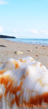 �����c�A�[�b���ꌧ���\���m���f�B�b�N�E�H�[�L���O/�����m���f�B�b�N�E�H�[�L���O