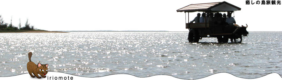 ���\�� �ό����